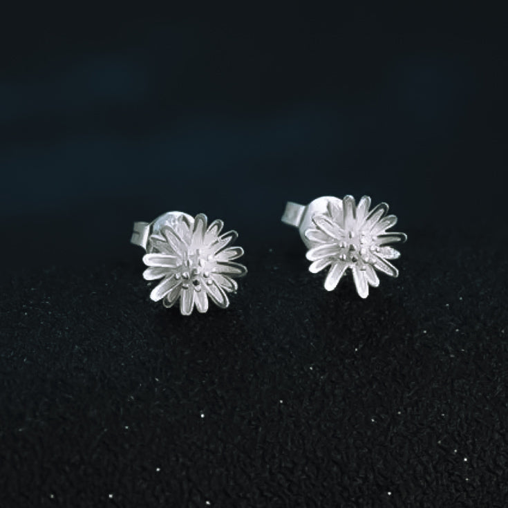 Daisy, Daisies silver